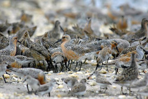 spend time in nature in Delaware